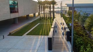 International African American Museum showcasing a courtyard with some palm trees and a walkway.